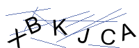 Security Captcha