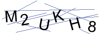 Security Captcha