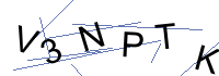 Security Captcha