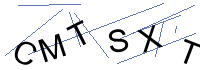 Security Captcha