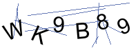 Security Captcha