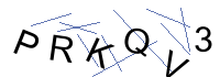 Security Captcha