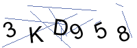 Security Captcha
