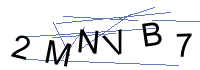Security Captcha