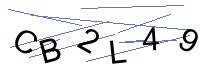 Security Captcha