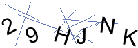 Security Captcha