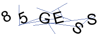 Security Captcha