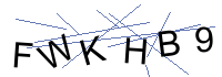 Security Captcha